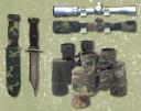 Camo Form® examples