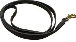 Top Dawg Biothane Leash