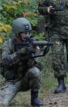 Canadian Army Helmet