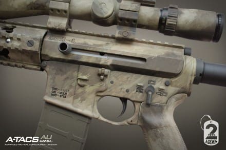 2 Vets Arms 3
