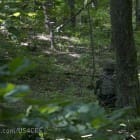 ADS-US4CES_Woodland