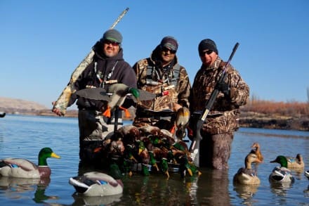 banded nation