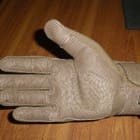 palm