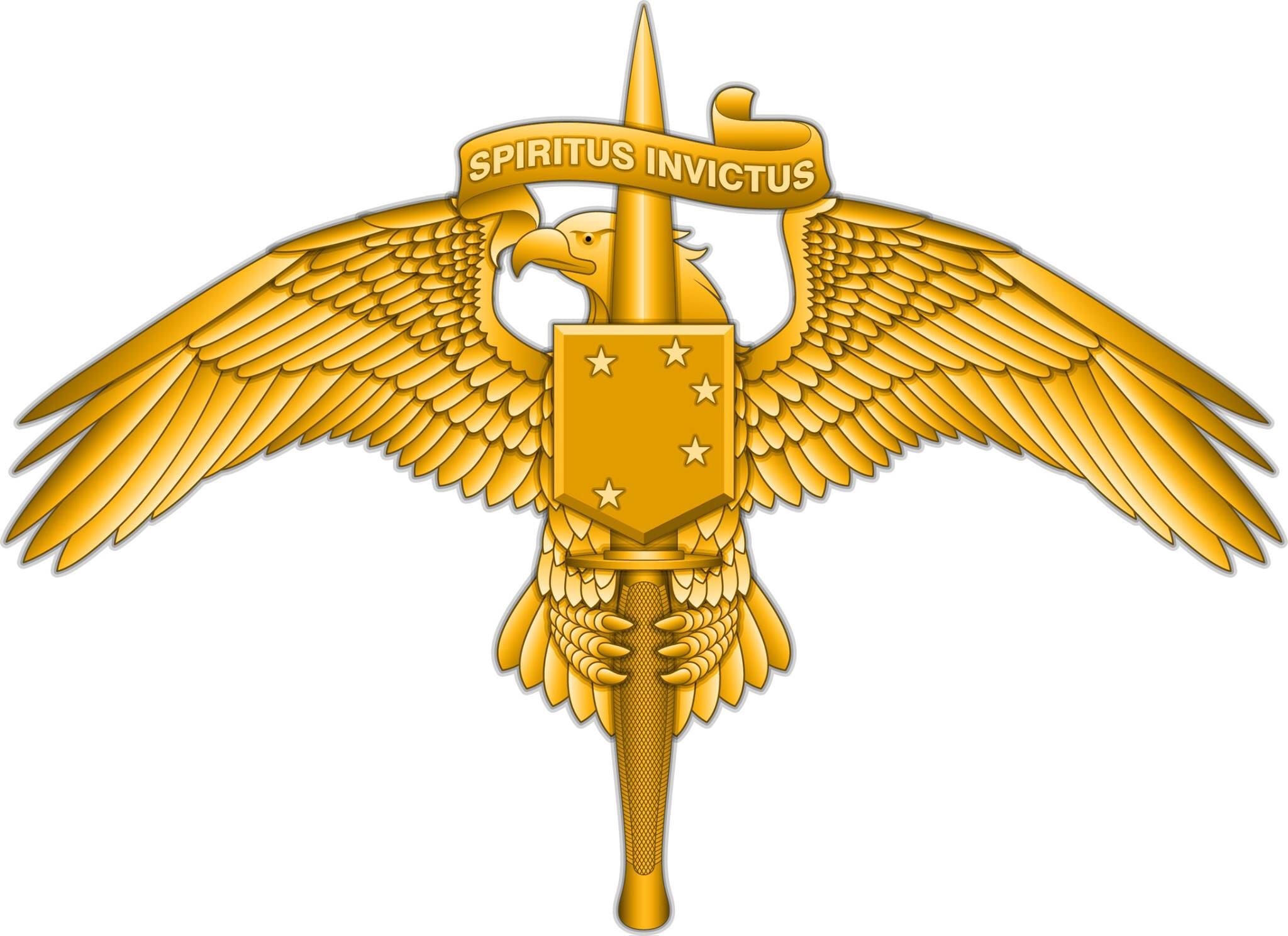 Marine Corps Uniform Insignia 101