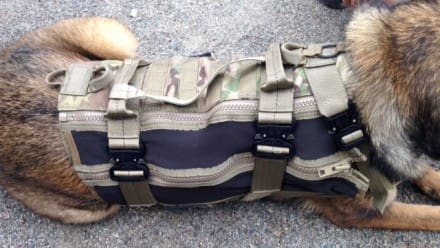 K9 harness hotsell with cobra buckle