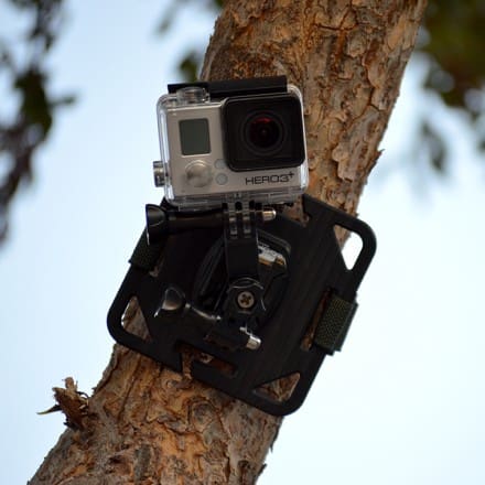 dsc_tree_plate-strap_lr