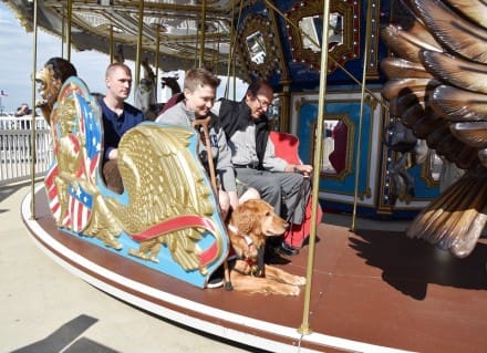 Hero Dogs on the Carousel