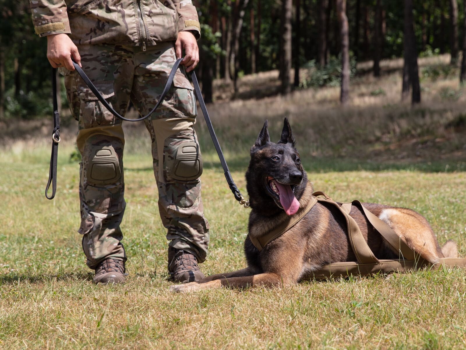 Special Operations Forces K9 Conference Soldier Systems Daily