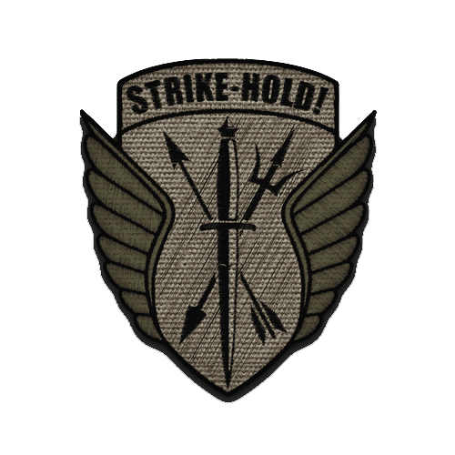 Veteran-run Strike-Hold blog is BACK - Soldier Systems Daily