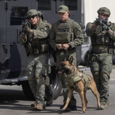 PROJECT7 Armor Revolutionizes K9 Protection With New Tactical Dog Vest